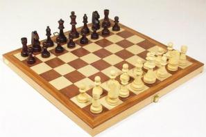 Игра «Шахматы для начинающих Играть в шахматы правила детей
